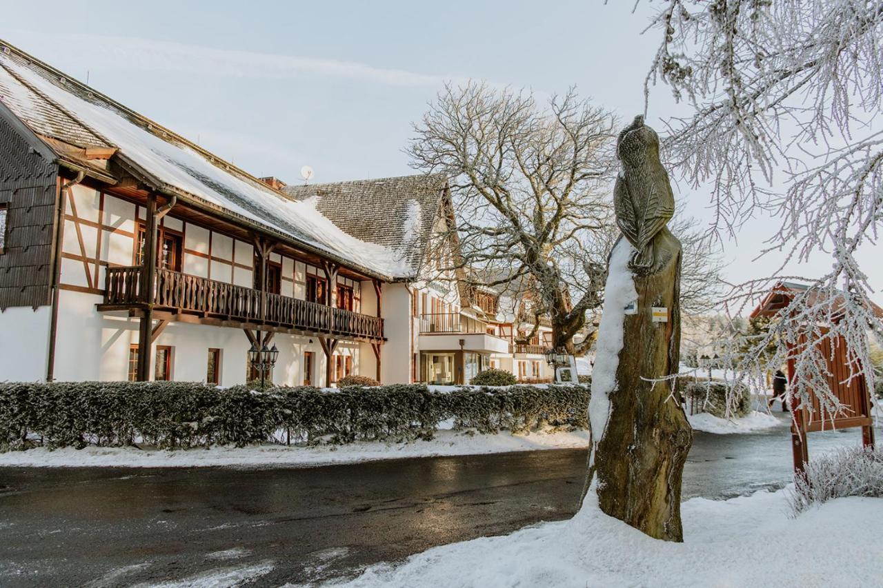Hotel Waldhotel Kreuztanne